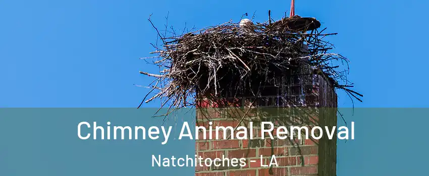  Chimney Animal Removal Natchitoches - LA