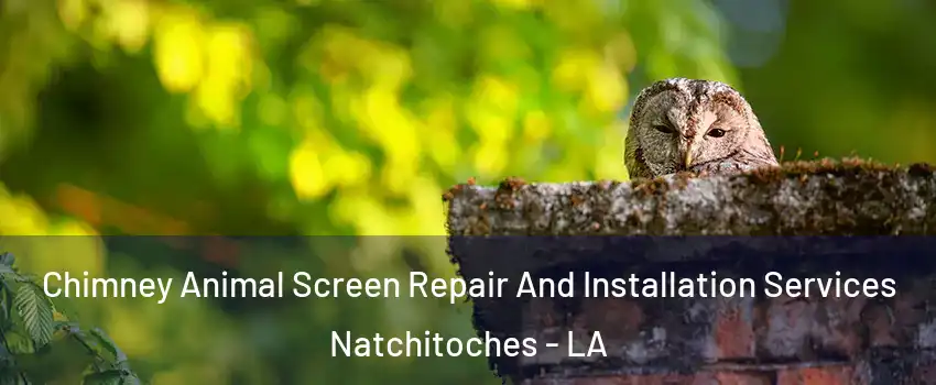  Chimney Animal Screen Repair And Installation Services Natchitoches - LA
