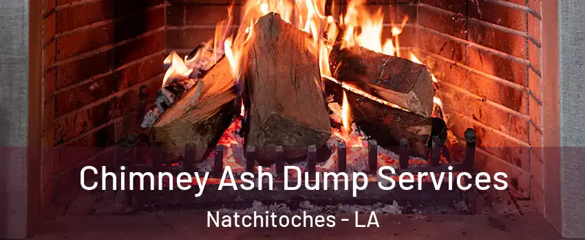  Chimney Ash Dump Services Natchitoches - LA