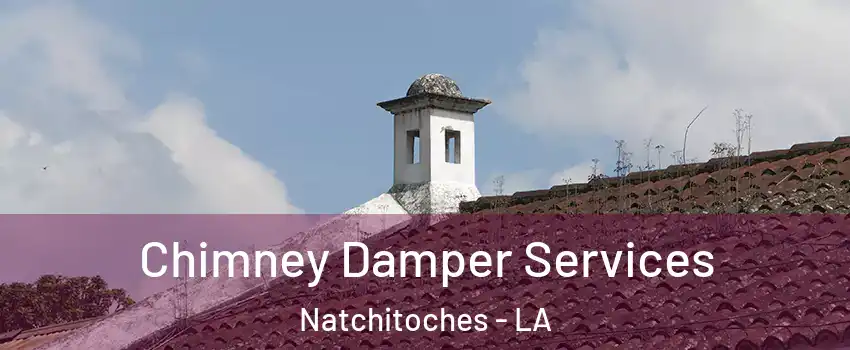  Chimney Damper Services Natchitoches - LA