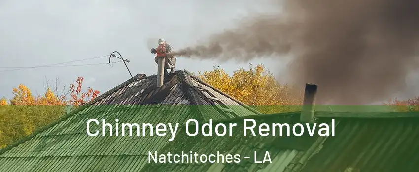  Chimney Odor Removal Natchitoches - LA