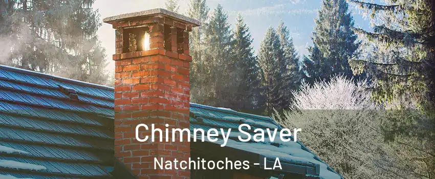  Chimney Saver Natchitoches - LA