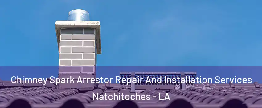  Chimney Spark Arrestor Repair And Installation Services Natchitoches - LA