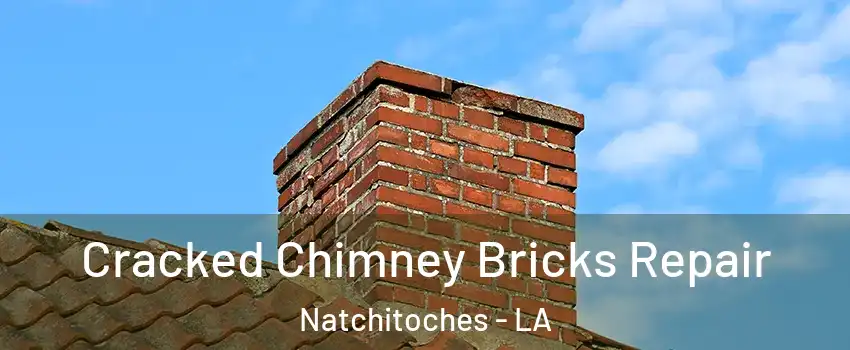  Cracked Chimney Bricks Repair Natchitoches - LA