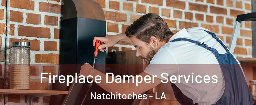  Fireplace Damper Services Natchitoches - LA