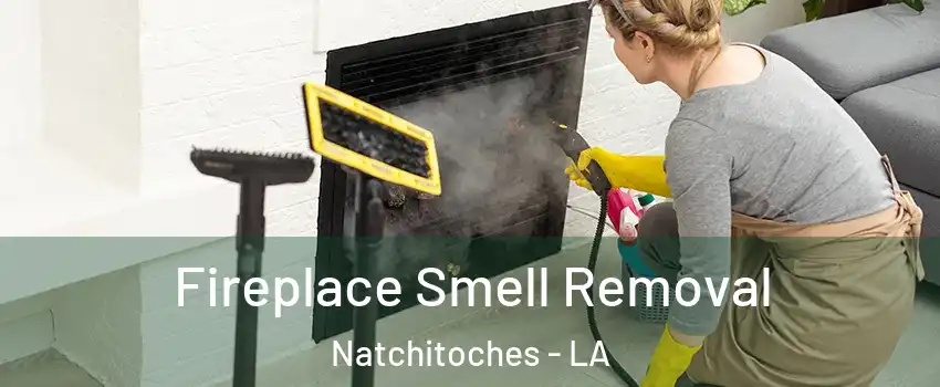  Fireplace Smell Removal Natchitoches - LA