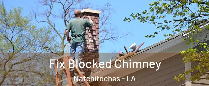  Fix Blocked Chimney Natchitoches - LA