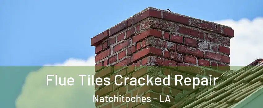  Flue Tiles Cracked Repair Natchitoches - LA