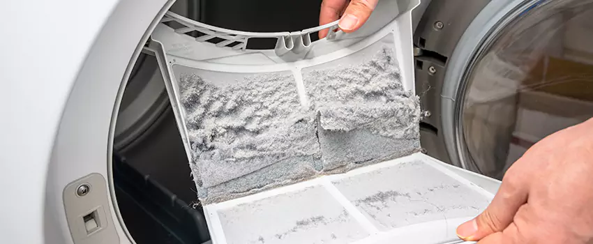Best Dryer Lint Removal Company in Natchitoches, Louisiana