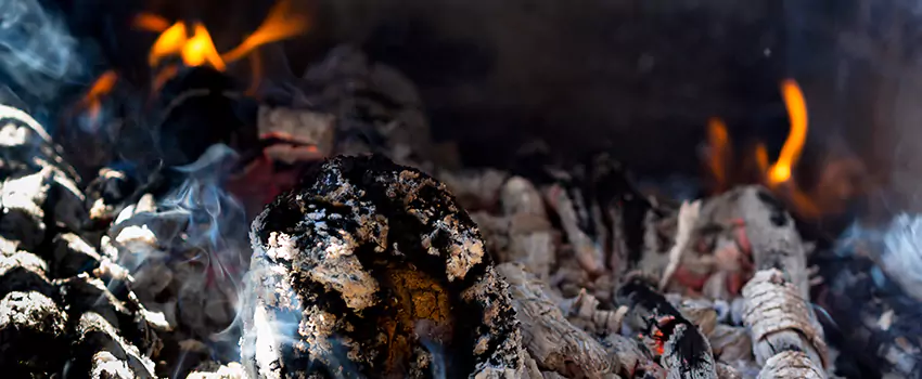Creosote Removal Experts in Natchitoches, LA