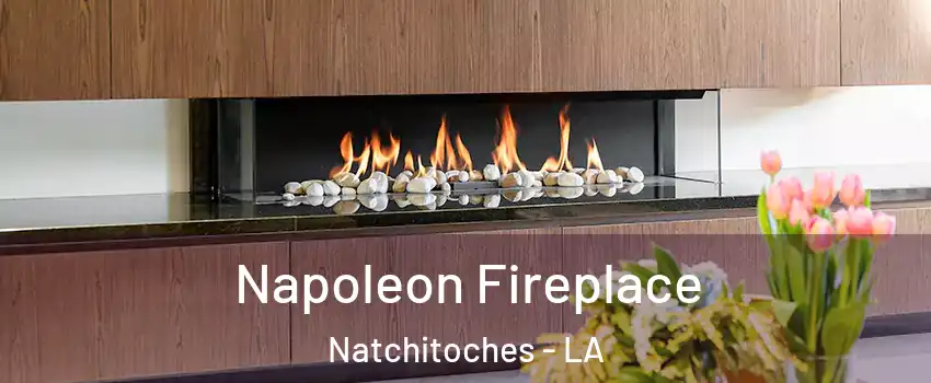  Napoleon Fireplace Natchitoches - LA